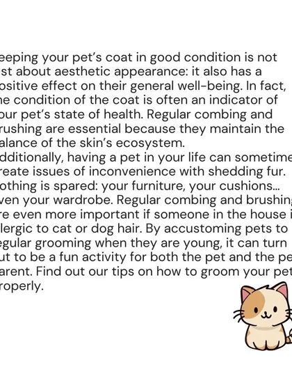 A healthy coat contributes to your pet's overall well-being. Regular grooming is a key part of responsible pet ownership.