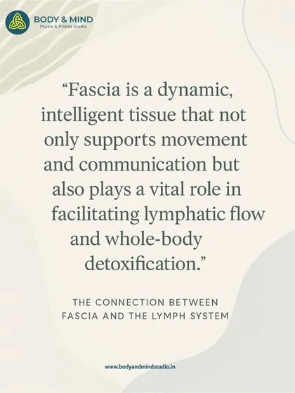 Fascia is an intelligent tissue that facilitates not only movement but also lymphatic flow and whole-body detoxification. My work focuses on keeping this system healthy and dynamic.