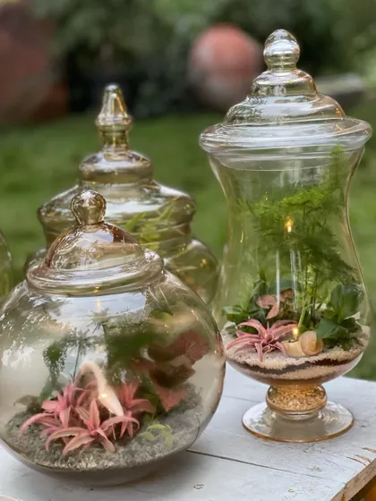 A closer look at our custom sealed terrariums. These feature layers of sand and soil, with small plants like pink fittonia adding a pop of color inside the enclosed glass, creating a self-sufficient ecosystem.