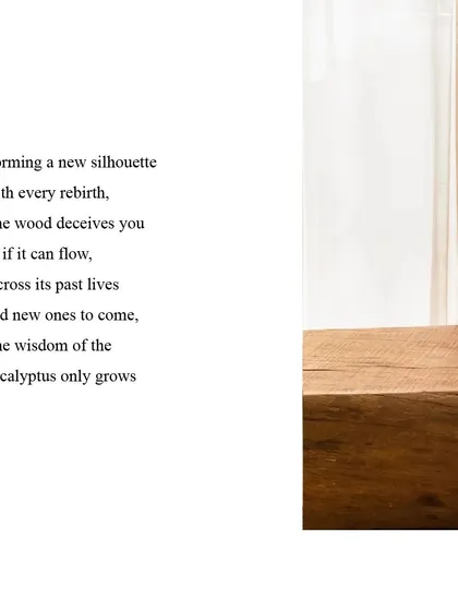 Repurposed wood carries its past lives with it, adding wisdom and a unique silhouette to the new spaces it inhabits.