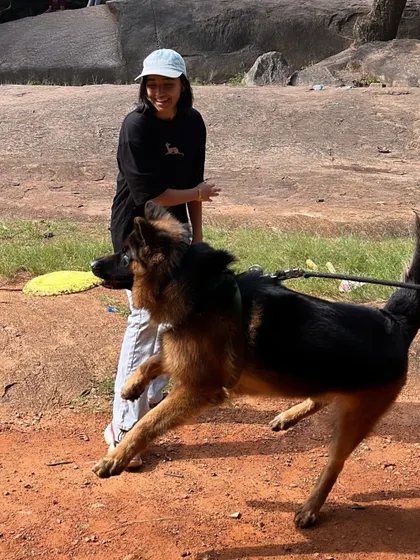 Look at that drive. Working with Hustler the GSD was a blast. Using a dog's natural play drive is one of the most effective ways to train and build a strong, positive relationship.