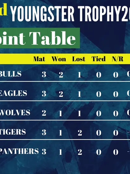 The points table showing DCA Bulls at the top after a consistent performance in the league stages.