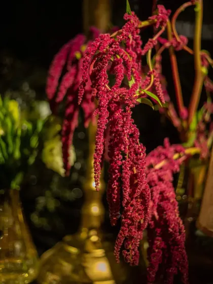 A close-up of cascading red amaranthus, adding a pop of color and texture to the otherwise monochromatic arrangements. We use unexpected elements to create visual interest and depth.