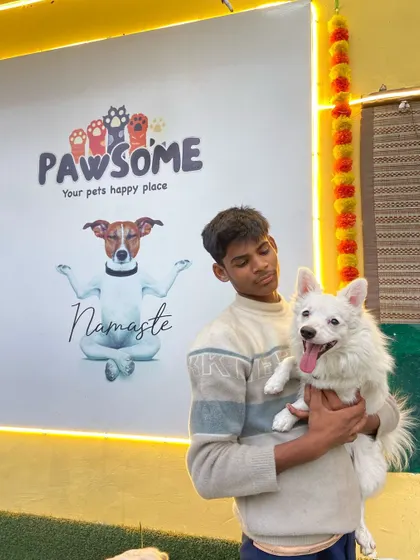 A fluffy white Spitz getting some love. I welcome dogs of all shapes and sizes.