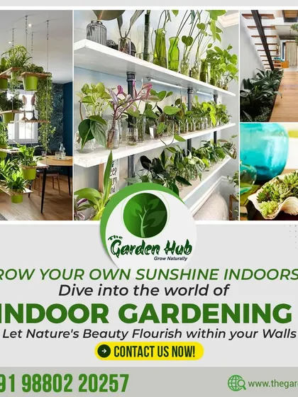 Grow your own sunshine indoors. This collage shows various creative ways to incorporate indoor gardening, from hanging shelves to wall-mounted propagation stations.