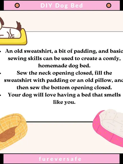 Want a fun weekend project? You can create a comfy, homemade dog bed using an old sweatshirt. Your dog will love having a bed that smells just like you.