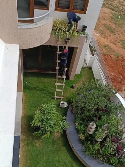 No space is out of reach for our team. Here you can see us carefully tending to an elevated planter on a modern villa. Our garden maintenance service includes safely accessing and caring for all parts of your garden, ensuring every plant, from the ground up, receives the attention it needs to thrive.