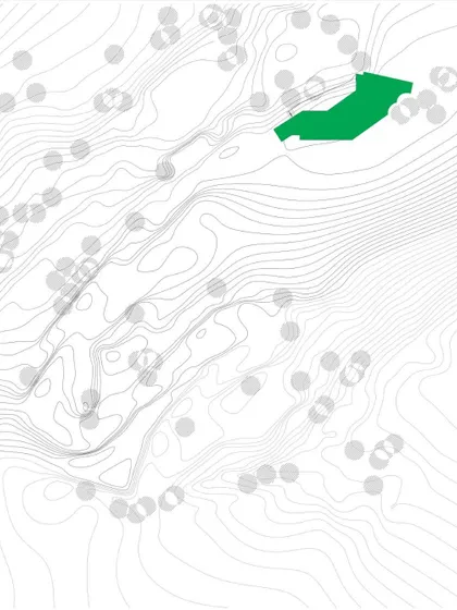A topographical site plan for a project named "Meander in the Pines." The green footprint shows how the building's form is designed to weave between existing trees and follow the natural curves of the land.