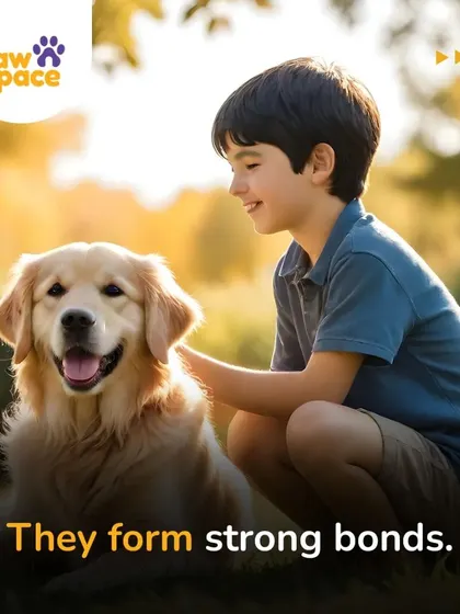 The strong bond shown here is built on trust and understanding. Our family-friendly training sessions ensure that everyone, including children, learns how to interact with the family dog safely and lovingly.