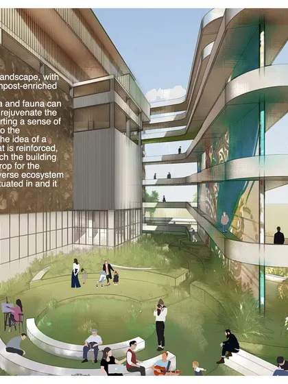 A render of the COE's outdoor amphitheater and garden spaces. The building is designed to be a backdrop for a rich, biodiverse ecosystem that it helps to facilitate.