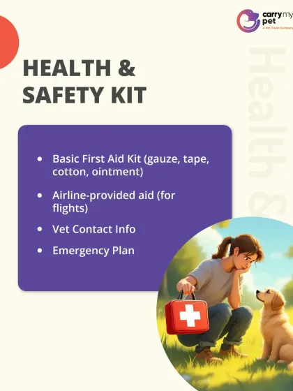 Part of the checklist: Health and Safety Kit. Always travel with a basic first aid kit, vet contact info, and an emergency plan.