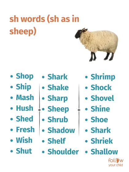 A list of 'sh' words (as in sheep) for phonics practice.