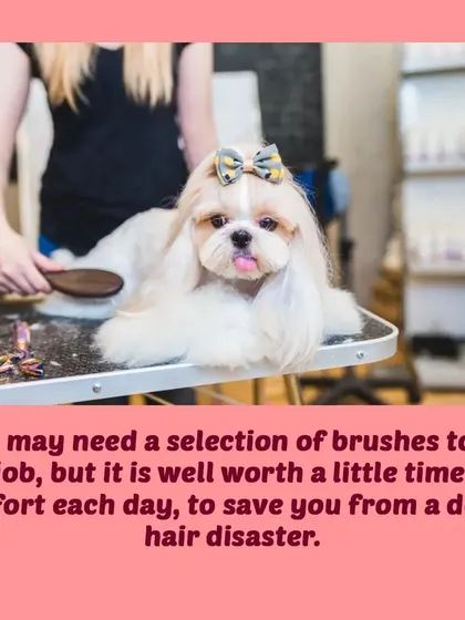 Using the right selection of brushes for your dog's coat type is a small daily effort that can save you from a major fur disaster.