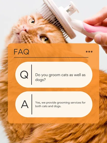 A frequently asked question: Do you groom cats as well as dogs? Yes, I provide professional grooming services for both cats and dogs.