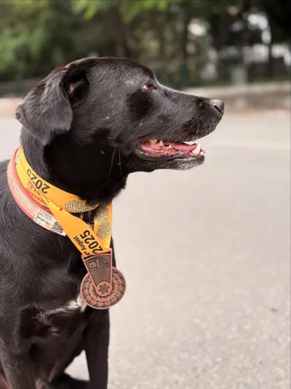 A profile shot of Batman with his medal. He's a true athlete.