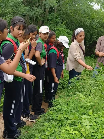 Students from VIBGYOR High get a close look at native grasses, learning to identify different species and understand their role in the ecosystem.