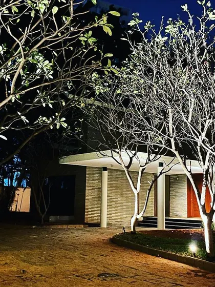 Uplighting trees with bare branches in winter creates a striking, sculptural effect, proving that landscape lighting is effective year-round.