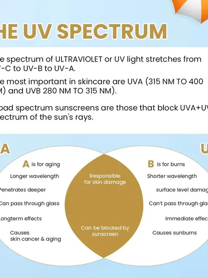 To make the right choices for your skin, you need to understand the science. This chart explains the difference between UVA and UVB rays. UVA rays are responsible for aging, while UVB rays cause sunburn. A good sunscreen must protect you from both.