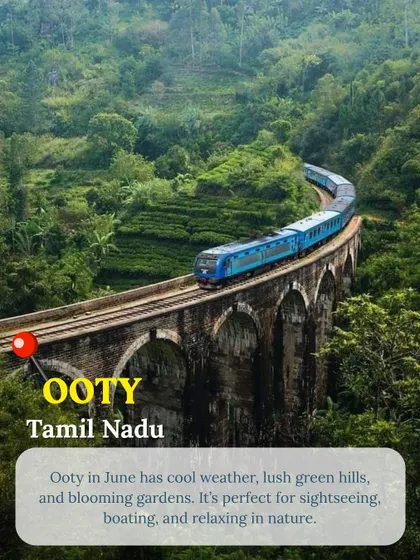 Ooty in June is a dream with its cool weather and blooming gardens. The toy train ride through the lush green hills is an experience you can't miss.