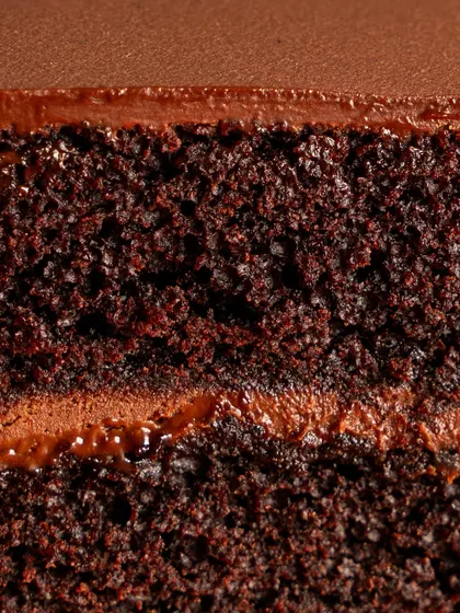 Look at that crumb. This is a close-up of our moist vegan chocolate sponge, showing just how rich and decadent a plant-based cake can be.