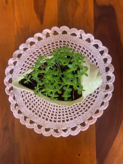 Another view of the pearl-laced pink doily, used as a base for a small planter. It adds a touch of glamour to everyday items.