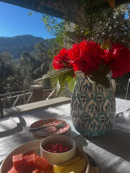 A healthy, vibrant breakfast served with a view of the Kumaon hills. Our retreat meals are always seasonal, gut-friendly, and locally sourced to nourish you from the inside out.