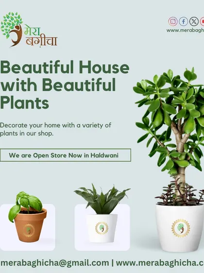We are so excited to be open in Haldwani! Our mission is to help you create a beautiful house with beautiful plants. Come and explore our collection.