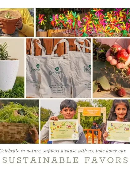 A look at our sustainable party favors, including potted plants, tote bags, and certificates for our little farmers.