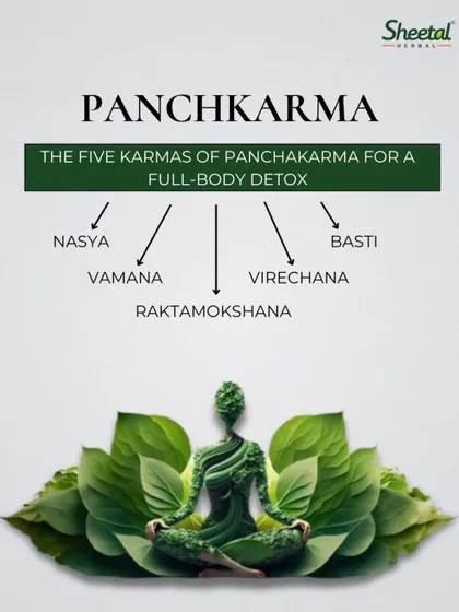 Panchakarma is the cornerstone of Ayurvedic detoxification. It is a set of five (panch) actions (karma) that cleanse the body of toxins and restore balance. This infographic provides a quick overview of the five core therapies: Vamana, Virechana, Basti, Nasya, and Raktamokshana, each targeting different systems for a full-body reset.