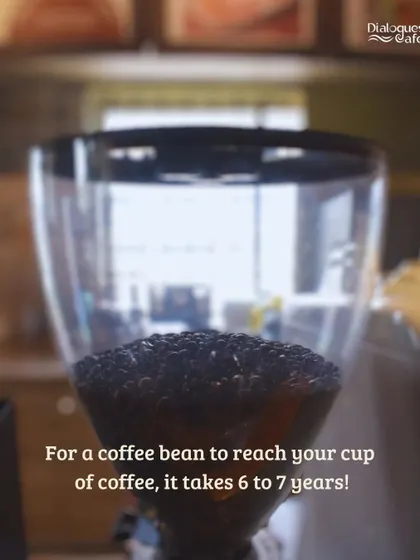 The journey of a coffee bean is long and complex. We honor this process by sourcing high-quality beans and brewing them to perfection for you.
