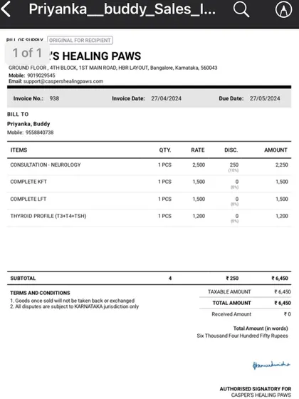 A screenshot of the invoice for Buddy's tests.
