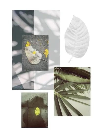 An example of the mini-moodboards I create. This practice helps me find aesthetic connections between everyday objects and serves as a visual gratitude journal. It's a simple but powerful tool I teach in my mentorship programs.