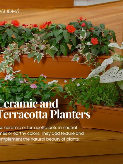Ceramic and terracotta planters in neutral or earthy tones are a timeless choice. They add natural texture and complement the beauty of the plants, as seen with these flowering plants in simple, rectangular pots.