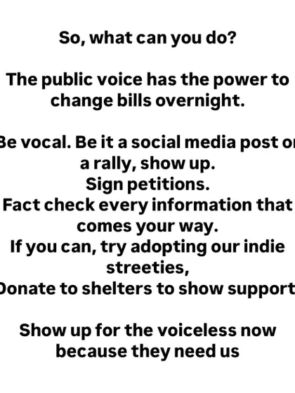 A call to action for our community. We outline concrete steps you can take to help, from being vocal on social media and signing petitions to adopting an indie and donating to shelters.