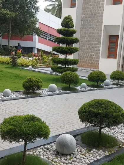 This angle shows the full effect of the geometric topiaries in a completed project. The repetition of the globe shapes provides rhythm and order, leading the eye towards the taller spiral feature and the building's entrance.
