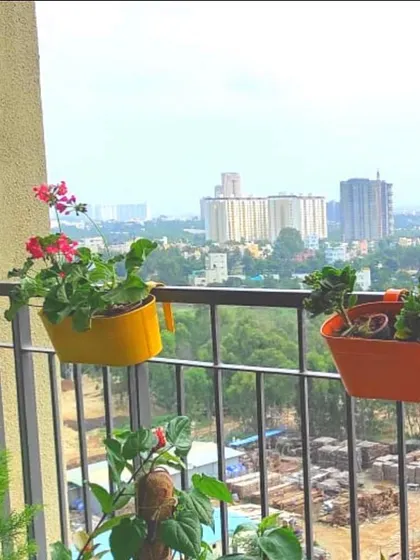 Make the most of your balcony railings. Our colorful railing planters are an easy way to add flowers and greenery without using any floor space, instantly brightening up your view.