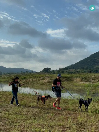 Two pet parents and their dogs walking along the trail at Muninagara Lake. Our events are kept to a small group size to ensure safety and a personal experience.