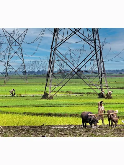 A study in contrasts, this photograph shows traditional farming with bullocks in West Bengal set against modern electrical towers. This color landscape print documents the juxtaposition of old and new ways of life in rural India.