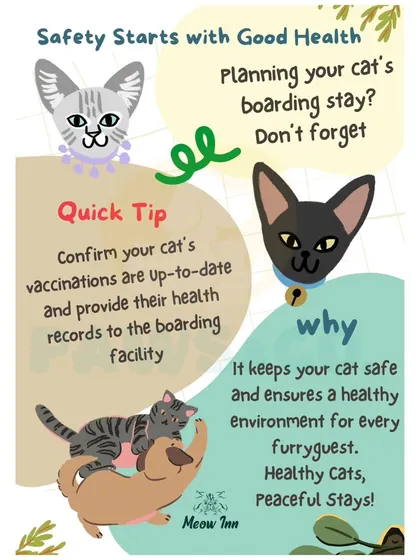 Safety starts with good health. Before any boarding stay, it's crucial to confirm that your cat's vaccinations are up to date to protect everyone.