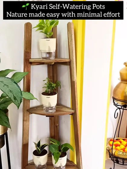 If you sometimes forget to water your plants, self-watering pots are a game-changer. These Kyari self-watering pots are perfect for indoor plants, providing a consistent supply of moisture without the risk of overwatering. They make plant care easy and worry-free.