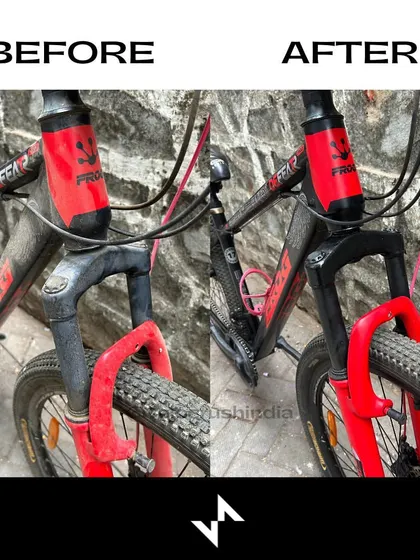 The front fork and headset area of the Frog bike, cleaned and serviced. We ensure every part of the bike is inspected and cared for.