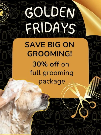 Fridays just got golden. I offer a 30% discount on my full grooming package every Friday. It's the perfect way to get your furbaby looking fabulous for the weekend.