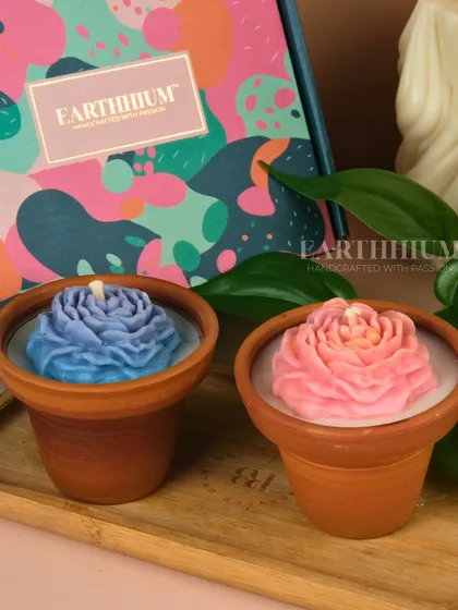 This set features a soft blue and a delicate pink rose in terracotta pots. They are perfect for gifting or adding a rustic, floral touch to your decor.