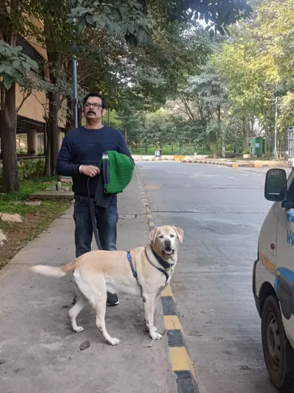 Robbie the Labrador and his owner getting ready to leave for the airport in our branded pet cab. Our door-to-airport service makes the first step of the journey easy and convenient.