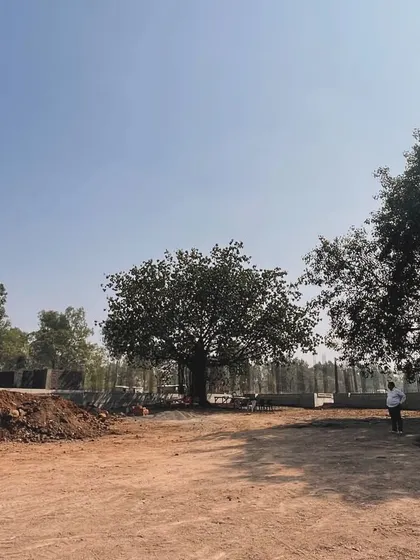 An early construction site photo of our villa project in Nashik. The open land and mature trees provide the natural canvas upon which we are crafting a modern residence, carefully integrating the new structure with the existing environment.