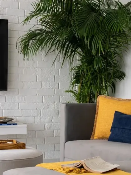 This TV room from a recent project embraces minimalism with a white brick wall and a floating console. A large palm plant adds a touch of nature, while pops of yellow and blue in the cushions bring life to the neutral palette.