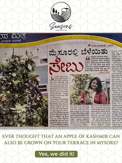 I am always exploring what's possible. I'm incredibly proud to have successfully grown a Kashmir Apple on a terrace here in Mysore, an achievement featured in the local newspaper. It's a symbol of my belief that with the right knowledge and dedicated care, nature can flourish anywhere.