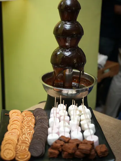 A close-up of our chocolate fountain station, complete with marshmallows, cookies, and brownies ready for dipping.