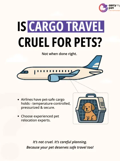 Is cargo travel cruel? It's a question we get all the time. The answer is no, not when it's done right. We only work with airlines that have temperature-controlled, pressurized, and secure live animal compartments, making it a safe and often necessary option.