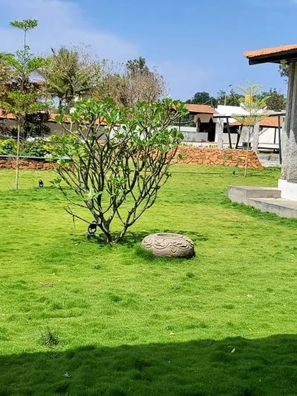This is a duplicate of image 20. This shot highlights the different elements of our landscape design, including a central plumeria tree, raised garden beds, and a spacious lawn area. We create diverse and interesting gardens that invite you to explore.